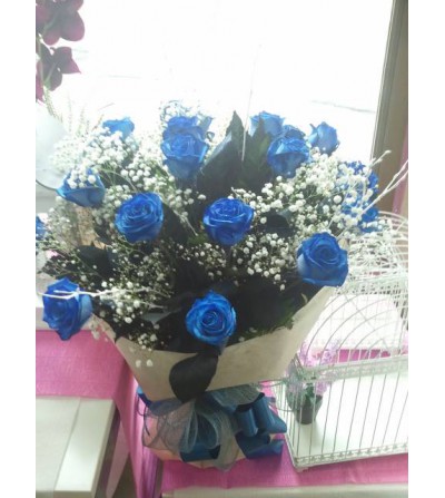rosas azules rosas amarillas rosas blancas rosas rojas